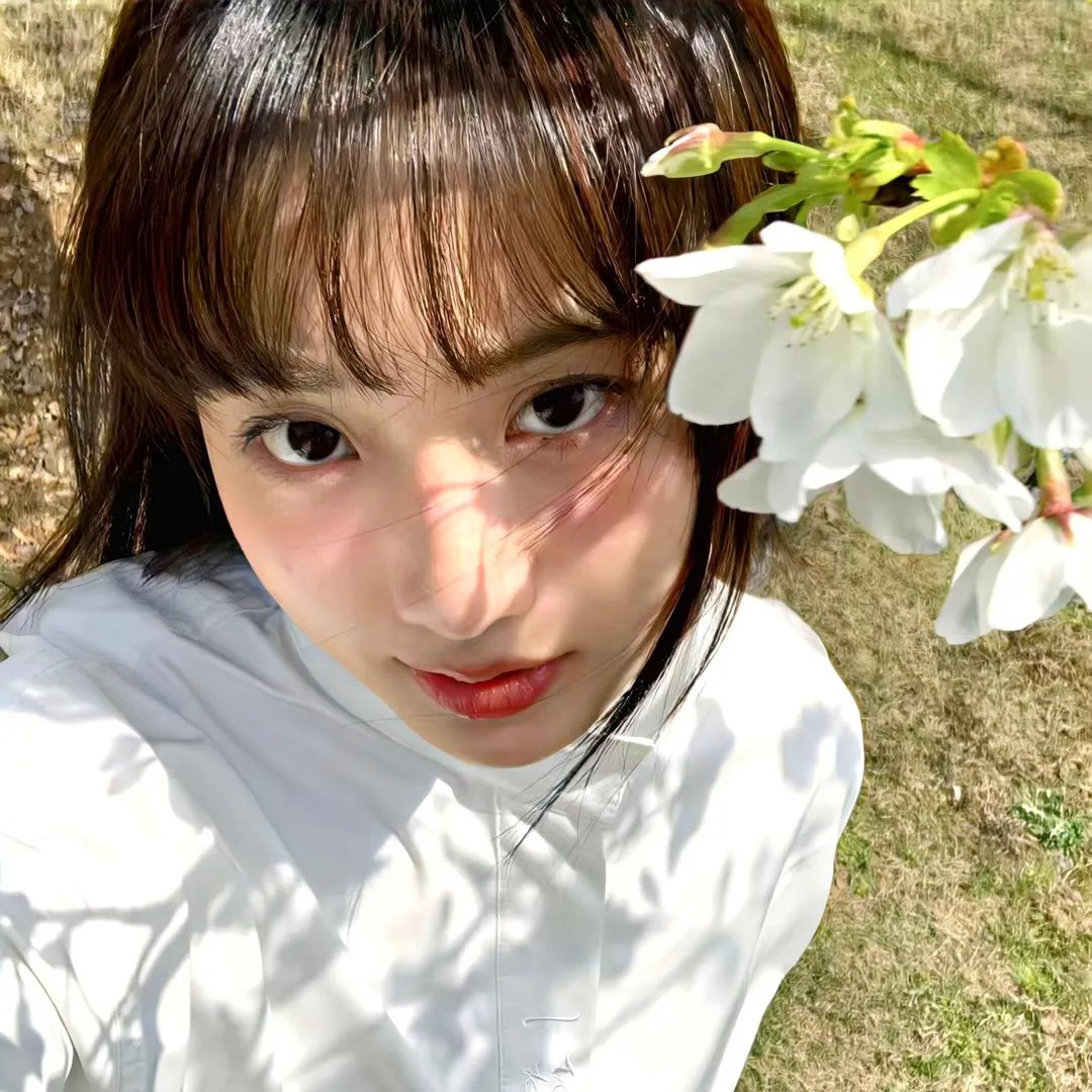永远恋爱真美